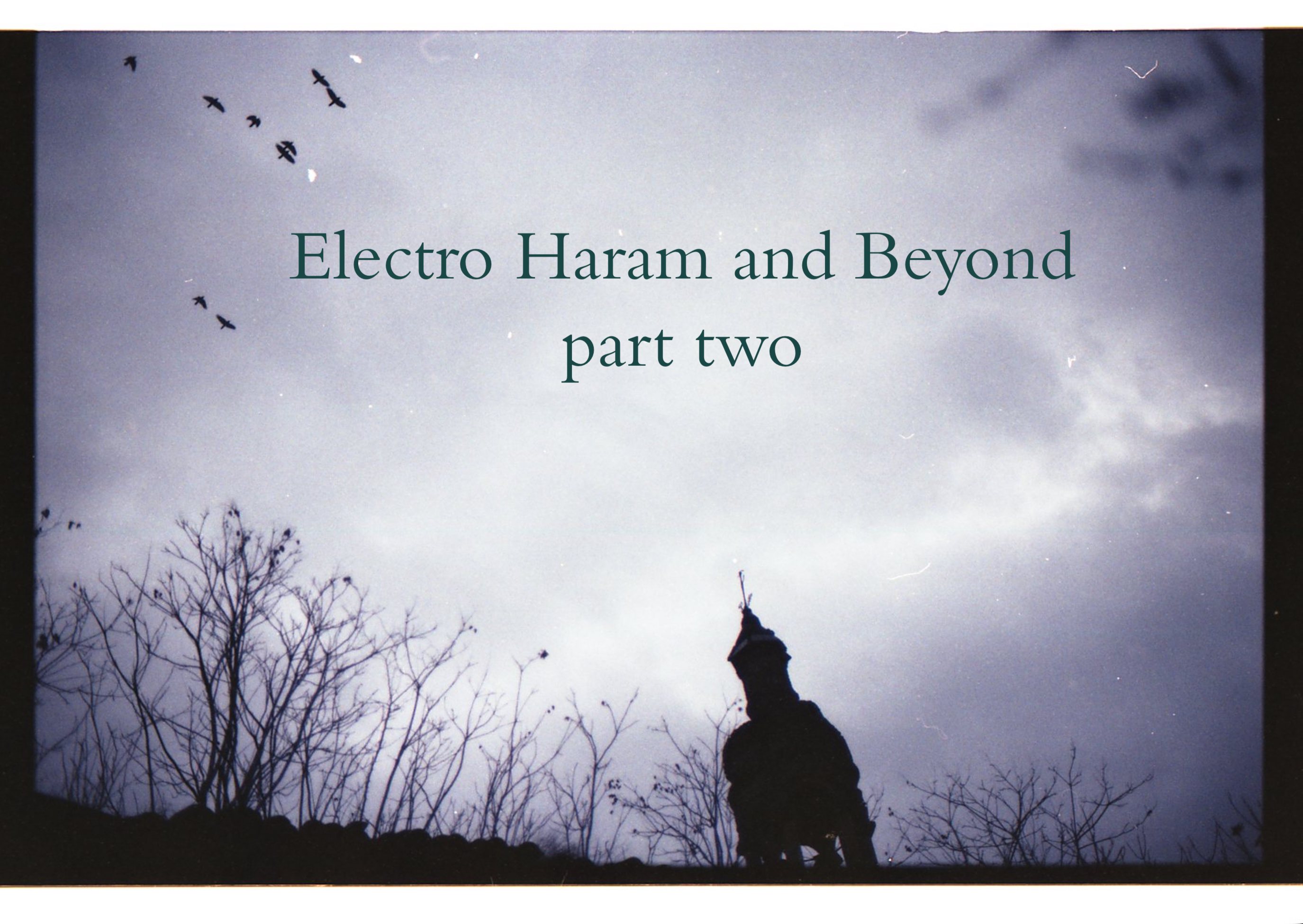 Electro Haram and Beyond, part two
