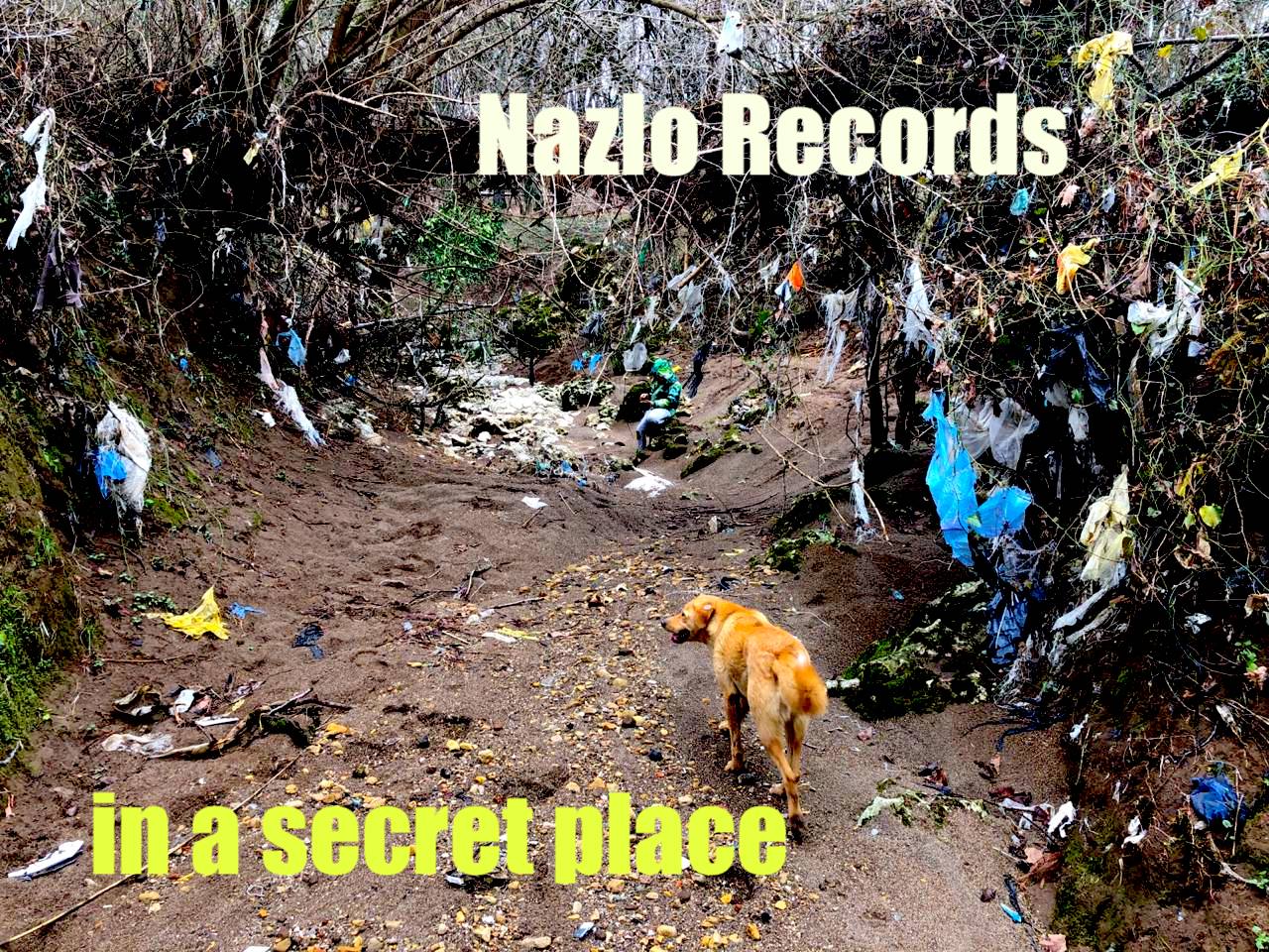 Nazlo Records – in a secret place